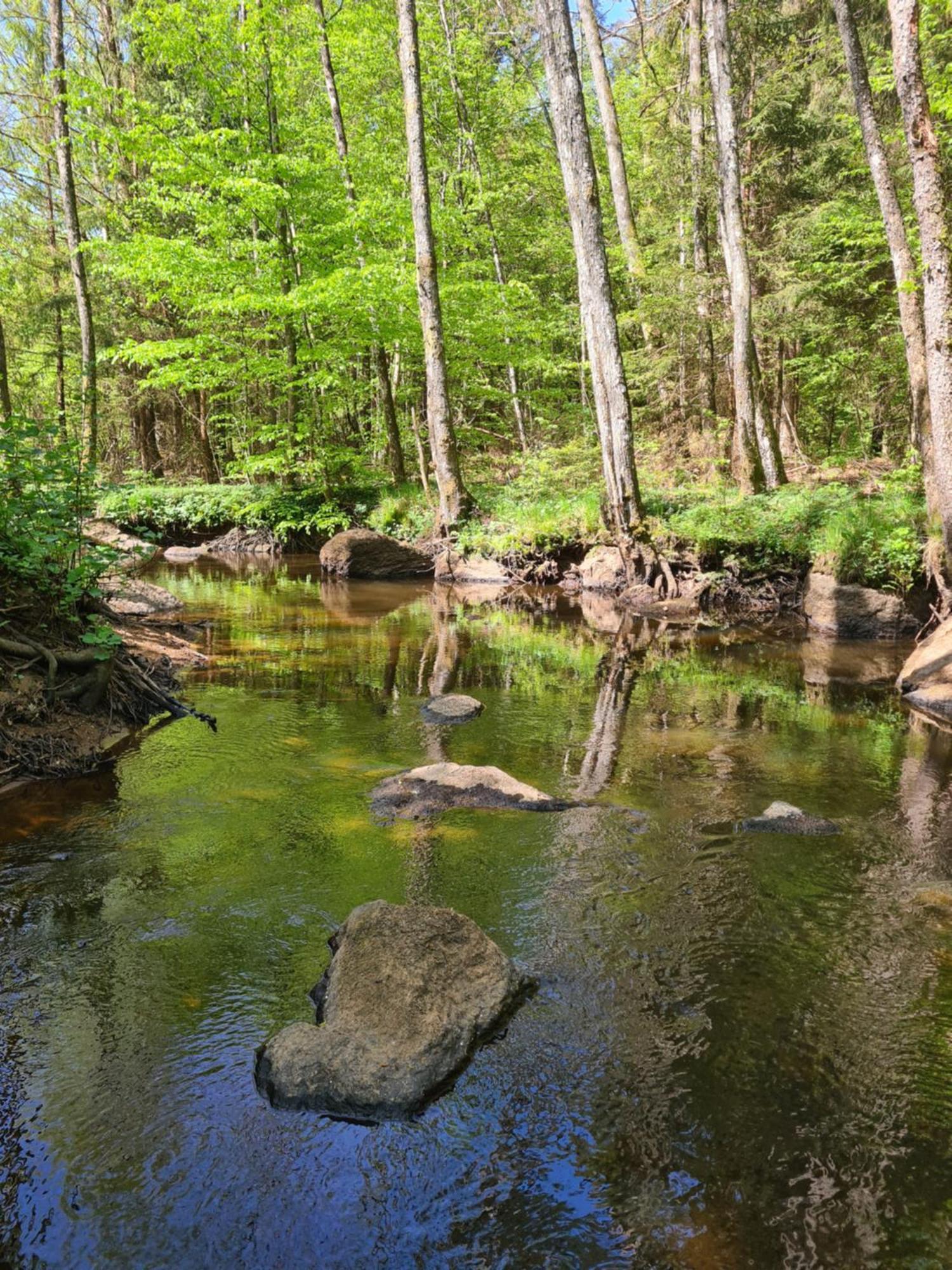 הוילה Hässleholm Bysmedjan מראה חיצוני תמונה